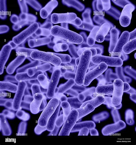 3d Microscopic view of bacteria Stock Photo - Alamy