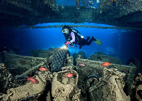 Best Scuba Diving in Sharm el Sheikh • Scuba Diver Life