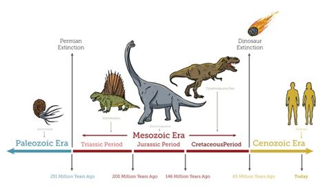 Dinosaur Timeline: Over 43 Royalty-Free Licensable Stock Illustrations ...