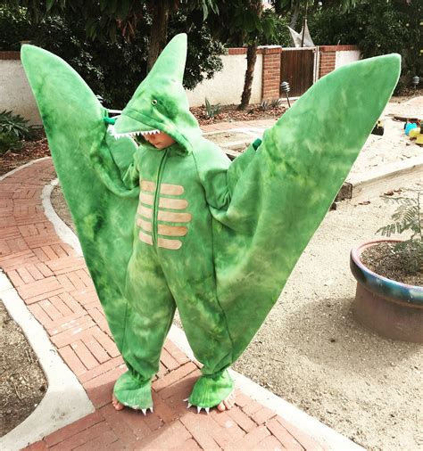 Pterodactyl costume. Flying dinosaur costume. | Dinosaur halloween costume, Kids dinosaur ...