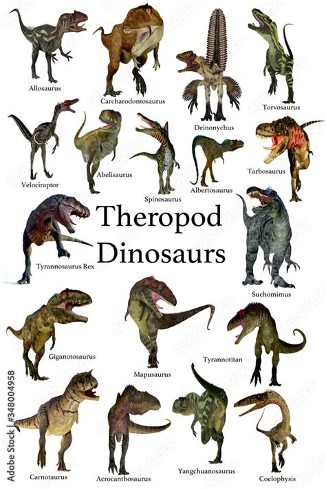 Theropod Dinosaurs - A collection set of Theropod carnivorous dinosaurs ...