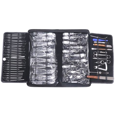 in-Di30 Stainless Steel Dentist Instruments Surgical Hygiene Kit Dental ...