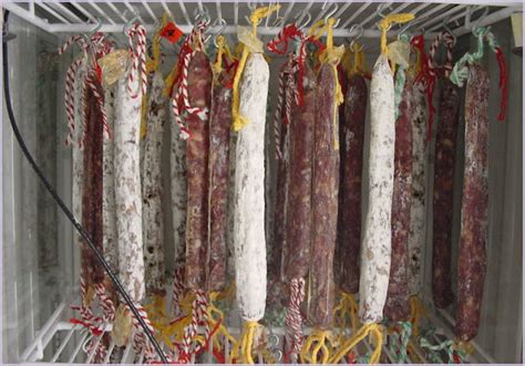 S T R A V A G A N Z A: DRY-FERMENTED SAUSAGES AND RIPENED MEATS