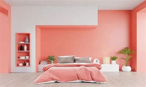 Wall Putty Painting Contractor Services at best price in Visakhapatnam | ID: 23802232148