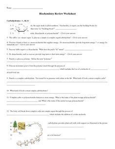 Biomolecules Concept Map Worksheet | Biochemistry, Map worksheets, Biology worksheet