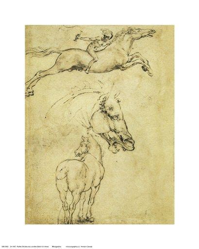 Sketch of a Horse by Leonardo Da Vinci | Horse art print, Horse art, Da ...