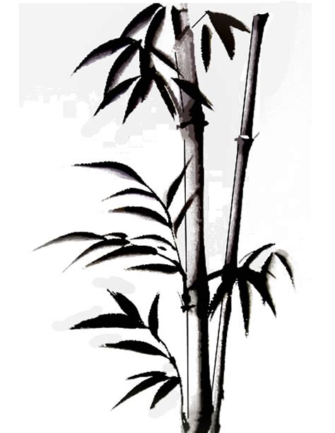 Bamboo | Bamboo drawing, Bamboo tattoo, Bamboo art painting