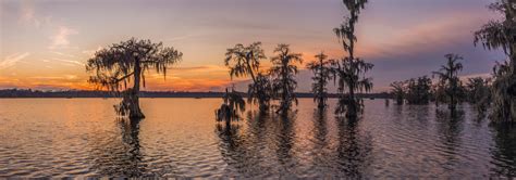 LANDSCAPE | Lake Martin | DKHebert Photography | Lafayette, LA ...