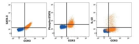 Th2 Cell Markers: R&D Systems