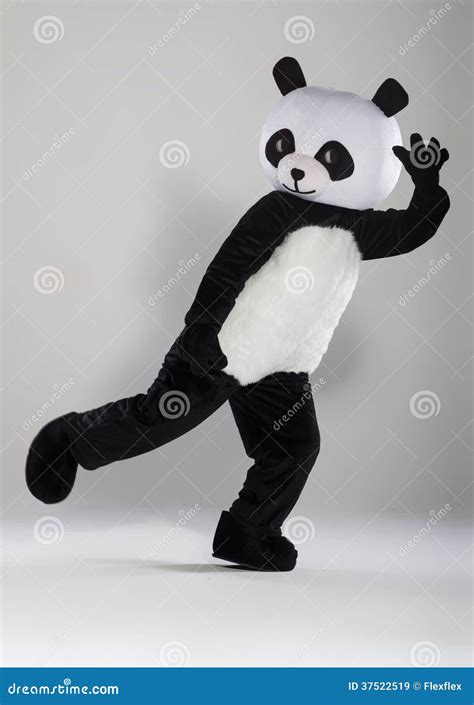 Man in panda costume stock image. Image of fluffy, people - 37522519