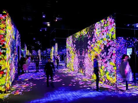 mori building digital art museum teamlab borderless tokyo (11) - Living ...