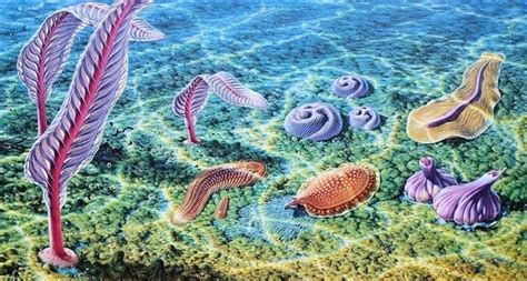 Ediacaran: 635-542 million years ago Scary Sea Creatures, Prehistoric ...