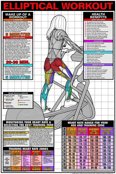 I knew I had an elliptical for a reason! - elliptical exercises and ...