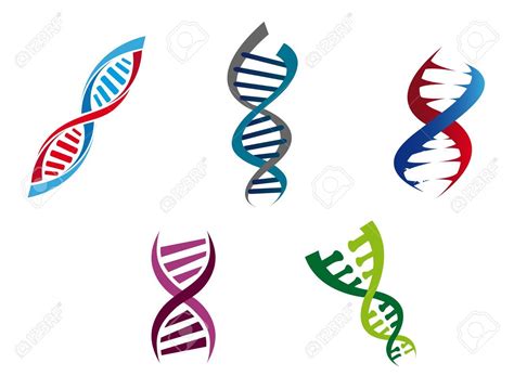 Cartoon illustration of colourful DNA strands with their coiled helical structure of genetic ...