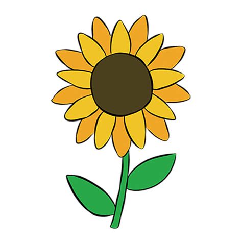 How to Draw a Simple Sunflower - Easy Drawing Tutorial For Kids