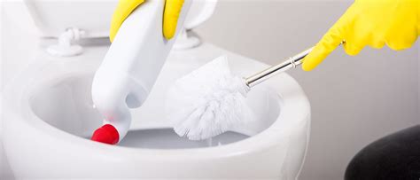 The Best Toilet Bowl Cleaner | Reviews, Ratings, Comparisons