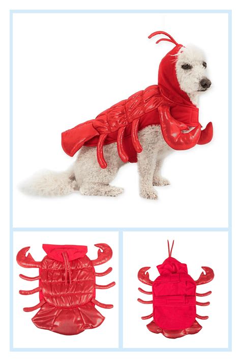 Simplydog Medium / Large Lobster Costume Red | Lobster costume, Pet ...