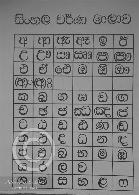 Preschool Worksheets Sinhala Preschool Printable - vrogue.co