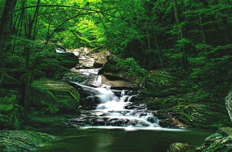 13 Incredible Waterfalls near Boone NC to Visit 2024