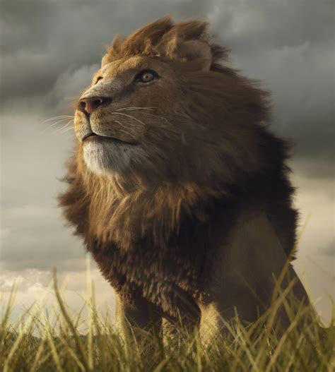 About Wild Animals lion: Adaptations of African Lions