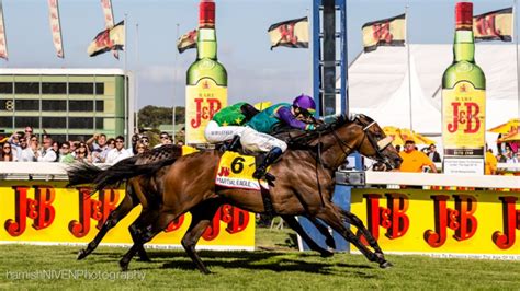 Is Horse Racing Popular in South Africa – Horse Racing Noise