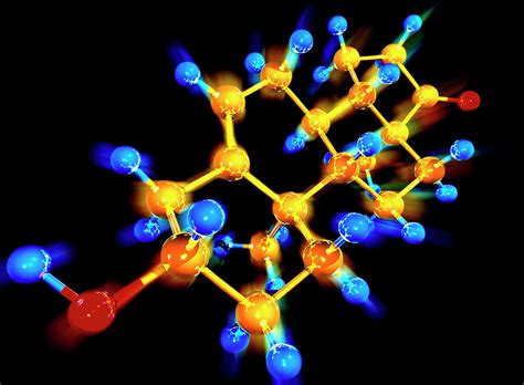 Dhea Hormone Photograph by Alfred Pasieka/science Photo Library - Pixels