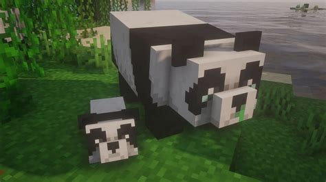 How to make pandas breed in Minecraft