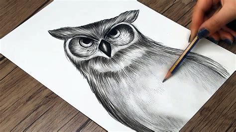 How to Draw an Owl Step by Step With Pencil | Realistic Drawing ...