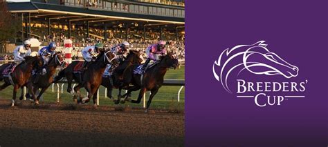 Breeders’ Cup Classic Preview: Betting on the Favorites | LegalSportsBetting.com