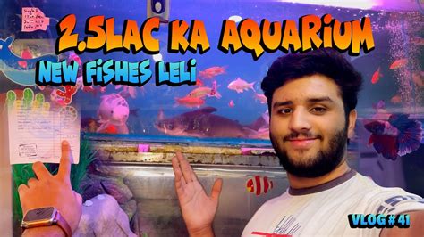 225k ka Fish Aquarium l Vlog # 41 - YouTube