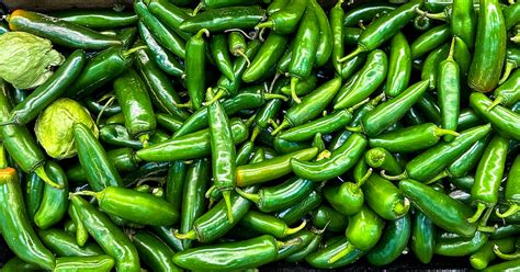 Serrano Peppers: What You Should Know! | The Novice Chef