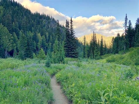 7 secluded washington trails you might have all to yourself – Artofit