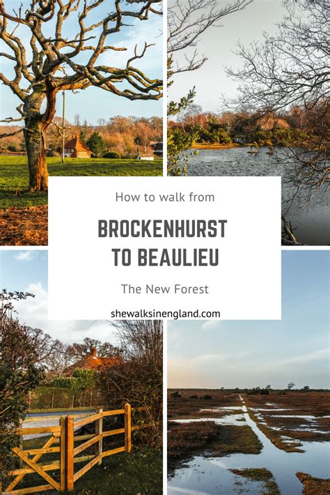 How to walk from Brockenhurst to Beaulieu | New forest, New forest england, Beautiful places to ...