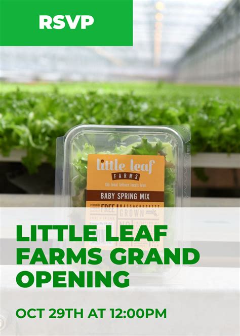 Little Leaf Farms Grand Opening