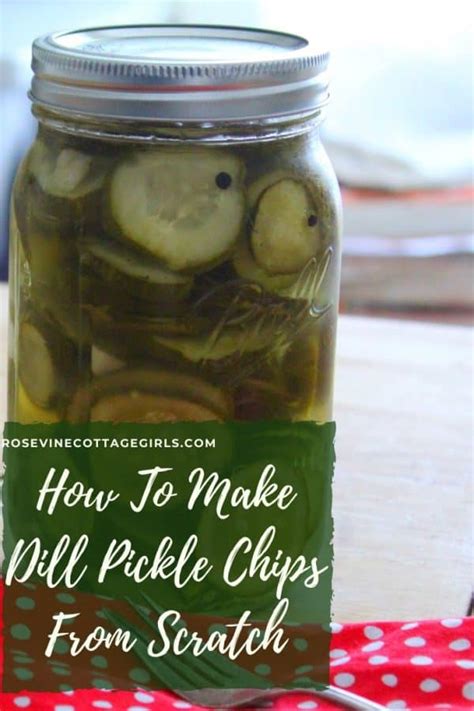 Homemade Dill Pickle Chips Recipe