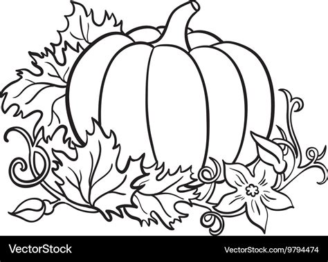 Pumpkin drawing isolated outline vegetable Vector Image