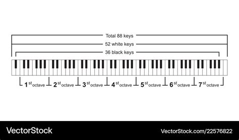 Piano keyboard diagram - layout Royalty Free Vector Image