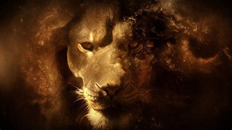 Fantasy Lion Portrait HD wallpaper