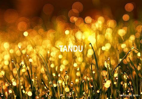 Arti Kata Tandu - Kamus Besar Bahasa Indonesia (KBBI) - Samsurijal.com