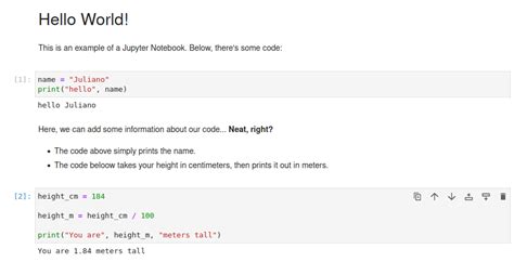 Python Scripts vs. Jupyter Notebooks: Pros and Cons | LearnPython.com