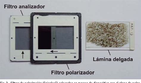 Figure 2 from Petrografía de rocas ígneas y metamórficas a bajo aumento mediante el uso del ...