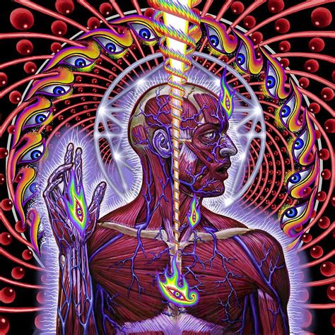 Tool - Lateralus: 20 años de la espiral perfecta | Science of Noise ...