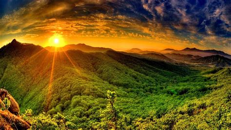 Sunrise Forest Wallpapers - Top Free Sunrise Forest Backgrounds ...