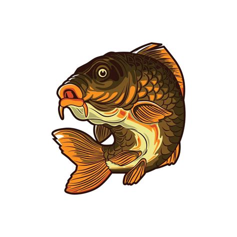 carp fish vector illustration design 7646337 Vector Art at Vecteezy