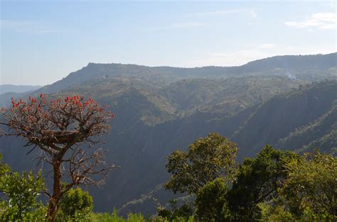 Geochemistry and Health in the Kenyan Rift Valley...by Michael Watts, Valerie McCormack, Diana ...