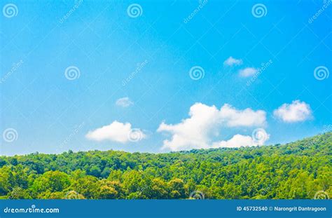 Green hill and sky stock photo. Image of nature, lawn - 45732540