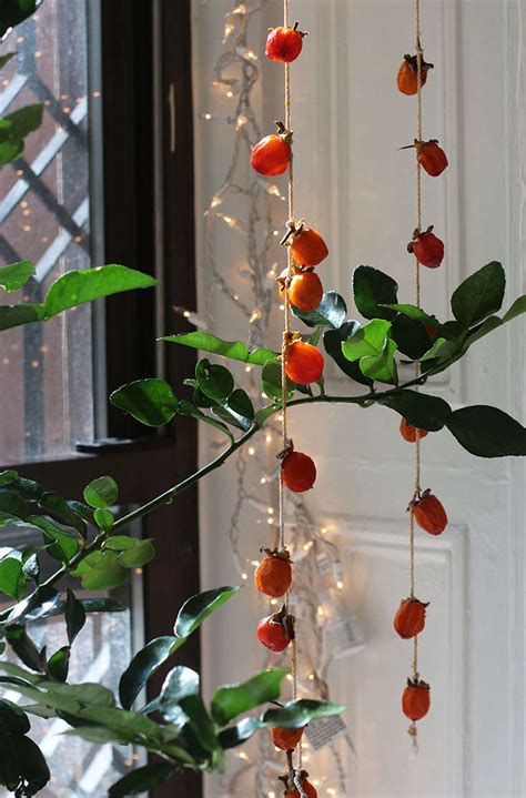 Sweet Season: Persimmons, from Fall through Frost - Gardenista