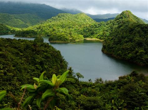 Beautiful Dominica: Picture-postcard island images