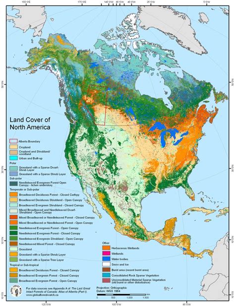 Land Cover of North America [2445 × 3195] | Geography map, North america, North america history