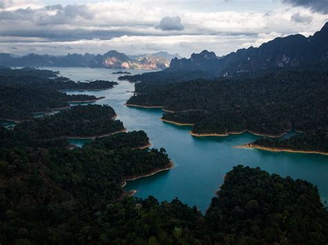 20,000+ Best The Amazon Rainforest Aerial Photos · 100% Free Download · Pexels Stock Photos